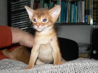 P1150726.JPG (15580 Byte)