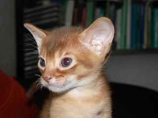 P1150728.JPG (10653 Byte)