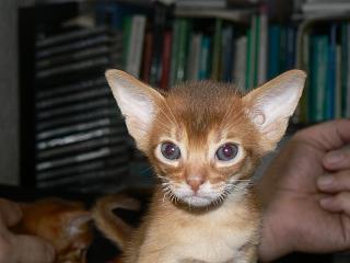 P1150730.JPG (11888 Byte)