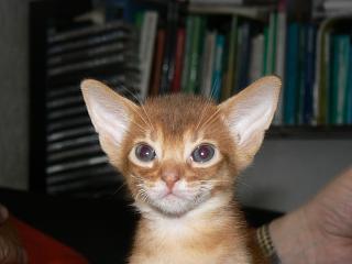 P1150732.JPG (10676 Byte)