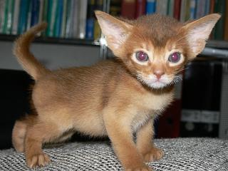 P1150734.JPG (15414 Byte)