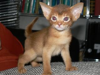 P1150735.JPG (14377 Byte)