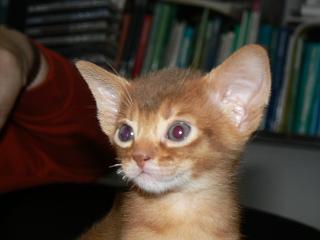 P1150741.JPG (10066 Byte)