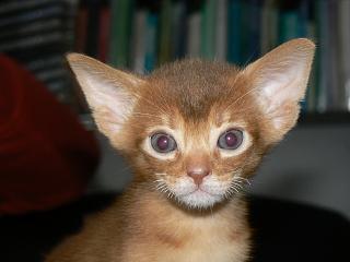 P1150743.JPG (10530 Byte)