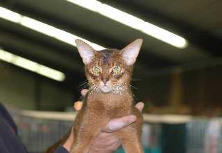 Vince-Wijchen 10.jpg (7506 Byte)