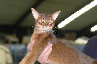 Vince-Wijchen_6.jpg (7013 Byte)