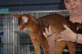 Vince_Ilsb2.jpg (8891 Byte)