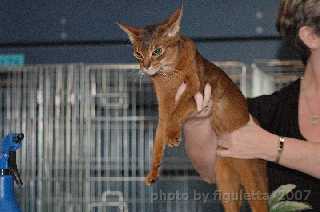 Vince_Ilsb3.jpg (9335 Byte)