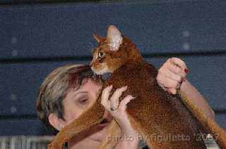 Vince_Ilsenb1.jpg (8034 Byte)