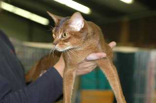 Vince_Wijchen 8.jpg (6939 Byte)