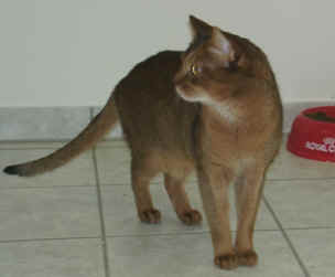 dakota.jpeg (22994 Byte)