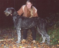 aidy8m.jpg (12950 Byte)