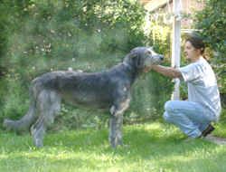 Klicken Sie hier fr mehr Informationen ber Aideen/Click here for more information