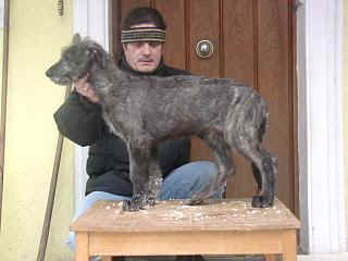 01010020.JPG (9235 Byte)