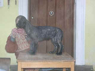 12160010.JPG (7486 Byte)