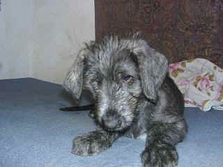 12160044.JPG (14530 Byte)