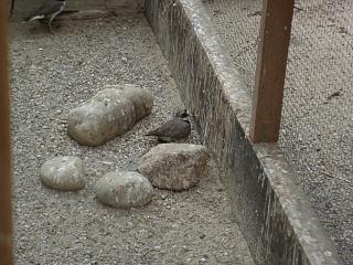 06160001.JPG (21698 Byte)