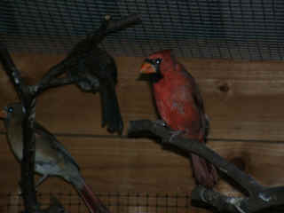 07130017.jpg (75778 Byte)