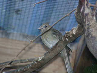 07130019.jpg (81603 Byte)