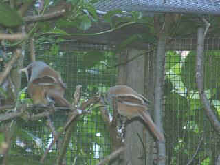 06250029.jpg (16889 Byte)