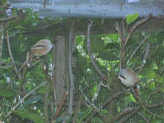 06250030.jpg (18488 Byte)