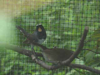 06040016.jpg (17166 Byte)