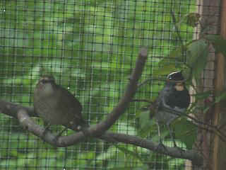 06040017.jpg (16157 Byte)