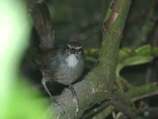 06250021.jpg (8832 Byte)