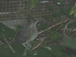 06250023.jpg (10763 Byte)