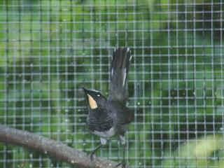 06250041.jpg (16012 Byte)