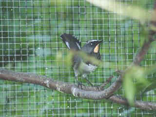 06250044.jpg (17333 Byte)