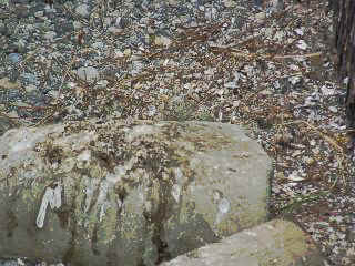 06040004.jpg (21954 Byte)