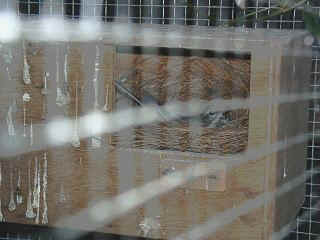 Gebirgs.jpg (9290 Byte)