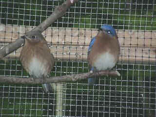 06040028.jpg (22479 Byte)