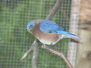 06040032.jpg (11726 Byte)