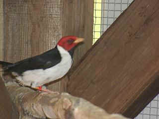 07150015.jpg (12853 Byte)