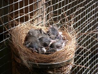 07160001.jpg (27707 Byte)