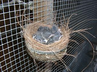 07160004.jpg (30141 Byte)