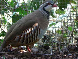 P1000192.jpg (154786 Byte)