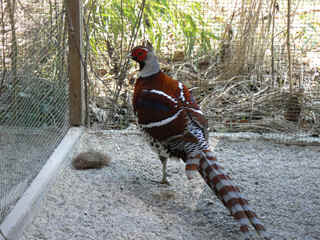 P1000198.jpg (155682 Byte)