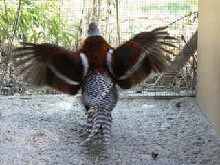 P1000203.jpg (142626 Byte)