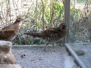 P1000204.jpg (145320 Byte)