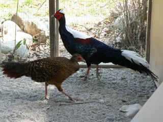 P1000210.jpg (137677 Byte)