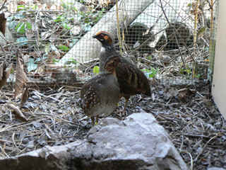 P1000221.jpg (156789 Byte)