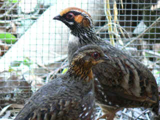 P1000222.jpg (138817 Byte)