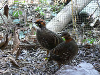 P1000224.jpg (162686 Byte)