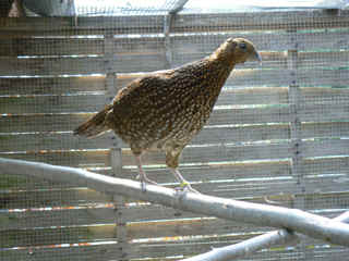 P1000306.jpg (134629 Byte)