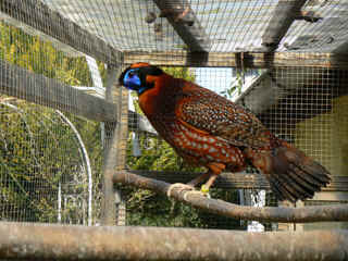 P1000311.jpg (150940 Byte)