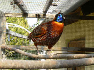 P1000312.jpg (138876 Byte)