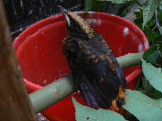 P1000887.jpg (117815 Byte)